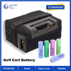 OEM ODM LiFePO4 lithium battery pack golf cart EV 48v 100ah 200ah golf cart club car 48v 100ah battery