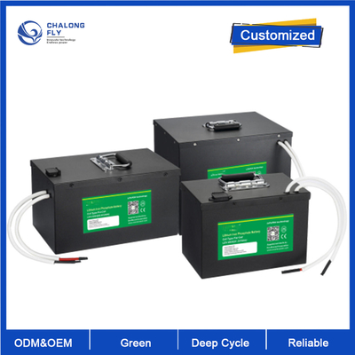 OEM ODM LiFePO4 लिथियम बैटरी पैक AGV स्वचालित निर्देशित वाहन प्रणाली 24v 80v