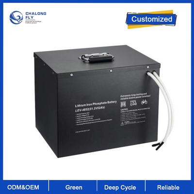 ODM OEM LiFePO4 लिथियम बैटरी शुद्ध साइन वेव 24V 48V 51.2V 100Ah 150Ah 200Ah लिथियम बैटरी पैक