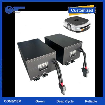 25.6V 51.2V 83.2V AGV रोबोट लिथियम बैटरी 100A 150A 200Ah 48V Lifepo4 बैटरी पैक चार्जर के साथ AGV लिथियम आयन बैटरी