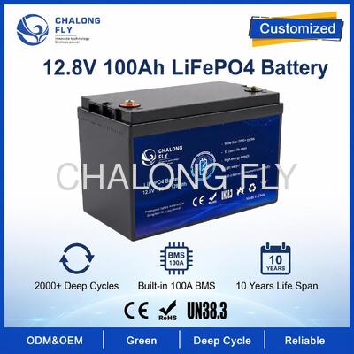 सौर स्ट्रीट लाइट और RV सहायक शक्ति के लिए बीएमएस के साथ कस्टम 12.8V 100Ah LiFePO4 बैटरी पैक