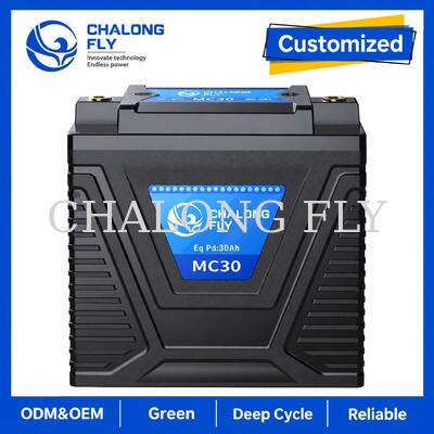 12.8V 10Ah LiFePO4 मोटरसाइकिल स्टार्टर बैटरी 600A, 15–30Ah लेड-एसिड रिप्लेसमेंट के लिए