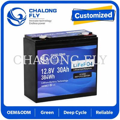12.8V 30Ah LiFePO4 डीप साइकिल बैटरी 384Wh ऊर्जा और 12V सिस्टम के लिए स्मार्ट BMS के साथ